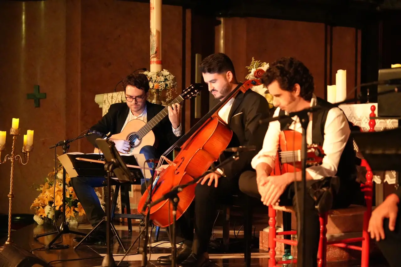 Concert performance 5